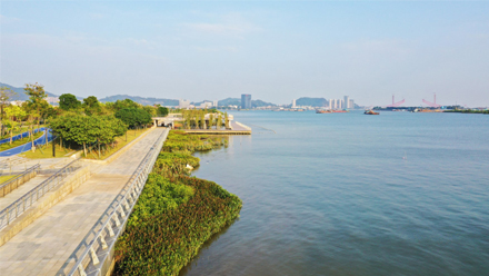 广州南沙灵山岛尖外江生态提升工程